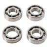 800Wx800H-1019129-2 HOT RODS Balansas kit Yamaha YFM700R Raptor