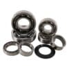800Wx800H-1019284-1 HOT RODS Lagerset versnellingsbak Suzuki RM-Z450