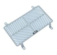 800Wx800H-1069975-2 R&G RACING Radiateurbeschermer - Roestvrij staal
