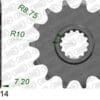 800Wx800H-1075246001-1 AFAM Staal standaard voortandwiel 21108 420