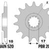 800Wx800H-1077541001-1 PBR Staal standaard voortandwiel 2074 - 520