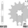 800Wx800H-1077755003-1 PBR Staal standaard voortandwiel 569 - 520