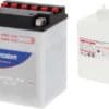 800Wx800H-1077823-1 TECNIUM Accu Conventioneel met zuurpakket - BB14L-A2