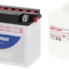800Wx800H-1077833-1 TECNIUM Accu Conventioneel met zuurpakket - BB7L-B2