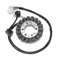 800Wx800H-1078086-1 ELECTROSPORT Dynamo - Triumph