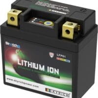 800Wx800H-1079094-1 SKYRICH Accu Lithium-Ion - LFP01