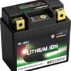 800Wx800H-1079094-2 SKYRICH Accu Lithium-Ion - LFP01