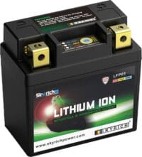 800Wx800H-1079094-2 SKYRICH Accu Lithium-Ion - LFP01