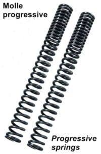 800Wx800H-1107084-1 BITUBO MB02 Fork Spring Kit - with Oil