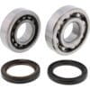 HOT RODS Main Bearing & Seal Kit - Honda CRF 450