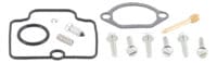 800Wx800H-1118273-1 ALL BALLS Carburetor Repair Kit