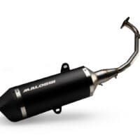 800Wx800H-1124692-1 MALOSSI RX Exhaust