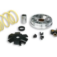 800Wx800H-1126228-1 Variatore MALOSSI Multivar