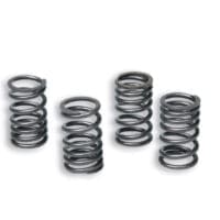 800Wx800H-1126241-1 Serie molle rinforzate per frizione MALOSSI Racing Ø 15 mm