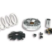 800Wx800H-1126246-1 Variatore MALOSSI Multivar