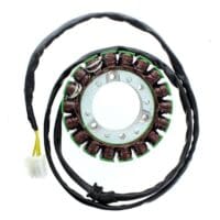 800Wx800H-1128294-1 ELECTROSPORT Dynamo