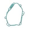 800Wx800H-1129503-1 CENTAURO Ontstekingsdekselpakking