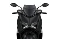 800Wx800H-1129812001-1 MALOSSI Windscherm Sport