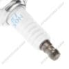 800Wx800H-1130229-3 NGK Laser Iridium Bougie