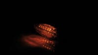HIGHSIDER Smart Como LED Indicator Body Carbon / Lens Smoked (Pair), Front & Rear