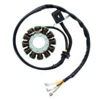 800Wx800H-1140057-1 ELECTROSPORT Stator ESG 169