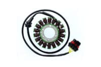 800Wx800H-1140061-1 ELECTROSPORT Stator ESG 306
