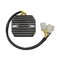800Wx800H-1140078-1 ELECTROSPORT Regelaar ESR 170