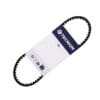 TECNIUM EssentialGrip CVT V-snaar