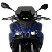 800Wx800H-1149220-1 MALOSSI Sport Windscherm