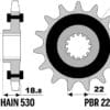 800Wx800H-1149508001-1 PBR Staal standaard voortandwiel 2254G - 530