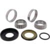 800Wx800H-1149570-1 ALL BALLS Lagerset stuurkop