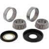 ALL BALLS Lagerset stuurkop