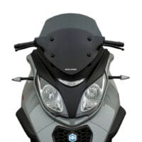 800Wx800H-1149707-1 MALOSSI Sport Windscherm