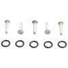800Wx800H-1151289-2 ALL BALLS Snelkoppelingsafdichtingsringen en filtersets - 5 sets