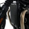 R&G RACING Pro Radiatorbeschermer