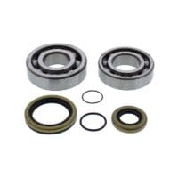 800Wx800H-1151698-1 ALL BALLS Krukaslager & keerringset