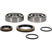 800Wx800H-1151699-1 ALL BALLS Krukaslager-kit