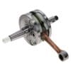 800Wx800H-1153439-1 WISECO Complete krukas