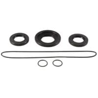 800Wx800H-1154050-1 ALL BALLS Achteras differentieel afdichtingskit