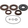 800Wx800H-1154101-2 ALL BALLS Transaxle afdichtingskit