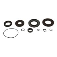 800Wx800H-1154108-1 ALL BALLS Transaxle afdichtingskit