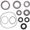 800Wx800H-1154149-3 ALL BALLS Vooras differentieel lager & afdichtingskit