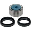 ALL BALLS Conisch DAC wiellager upgrade-kit