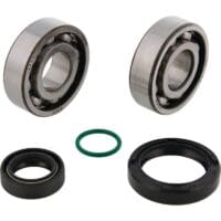 800Wx800H-1154819-1 ALL BALLS Krukaslager-kit