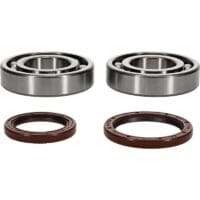 800Wx800H-1154821-1 ALL BALLS Krukaslager & keerringset