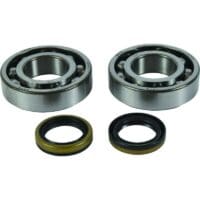800Wx800H-1154822-1 ALL BALLS Krukaslager & keerringset