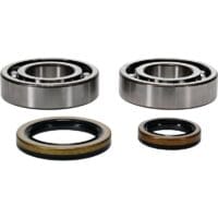 800Wx800H-1154823-1 ALL BALLS Krukaslager-kit