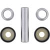 ALL BALLS Fuseepin-kit