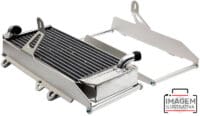 800Wx800H-1155582001-1 CROSSPRO Radiateurbescherming