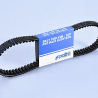 800Wx800H-1156170-1 POLINI tandriem met dubbele vertanding
